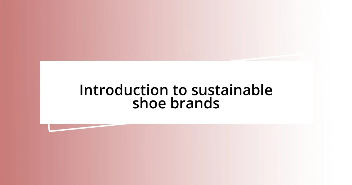 Introduction to sustainable shoe brands